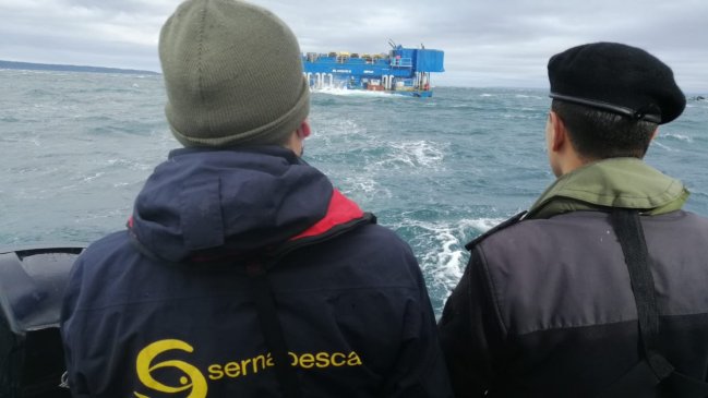 Cifran en más de 100 mil los salmones escapados en centro de Caicura