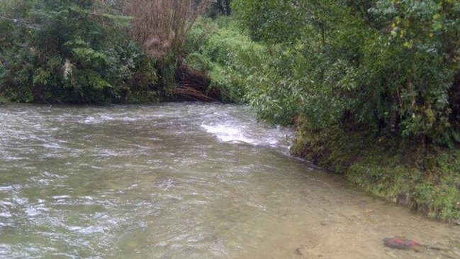 Fiscalía investiga contaminación de Río Puquitrahue en Los Lagos