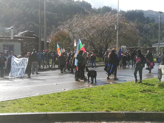 Comunidades mapuche realizan manifestación contra alcalde de Contulmo