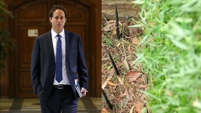 Llevarán a Comisión de Ética a diputado por imagen falsa de 