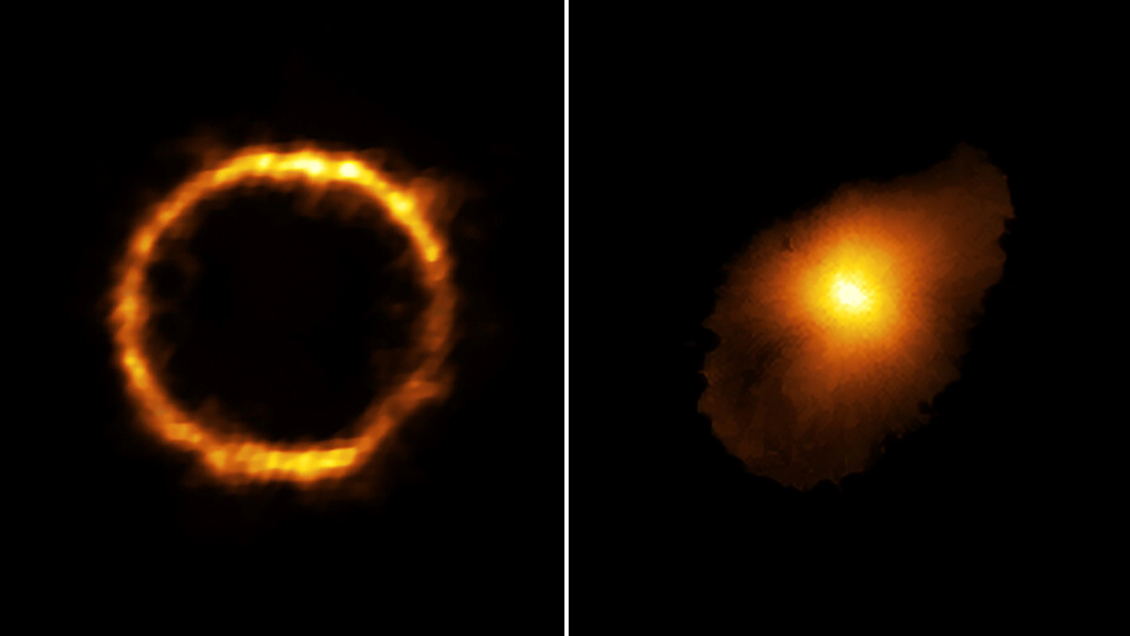 Descubren desde Chile la 