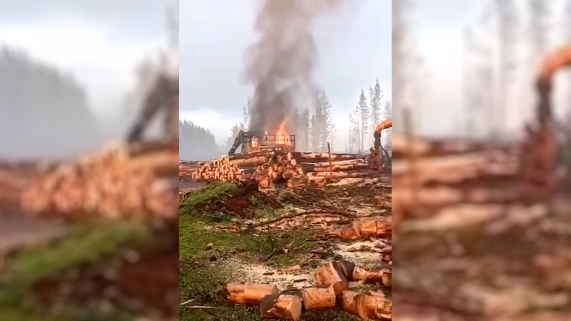 Cinco vehículos fueron quemados en nuevo ataque incendiario en Arauco esta semana