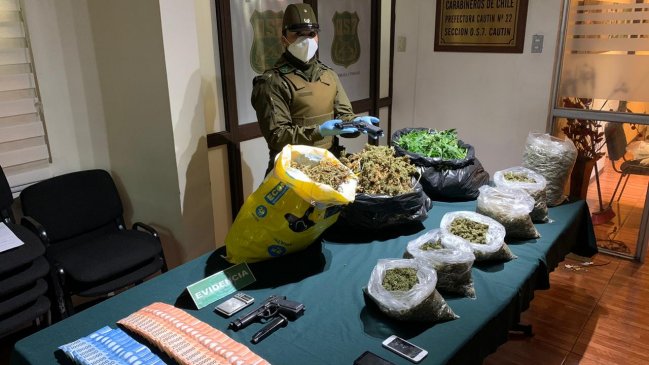 Siete kilos de marihuana y 329 plantas de cannabis fueron decomisadas en Temuco e Imperial