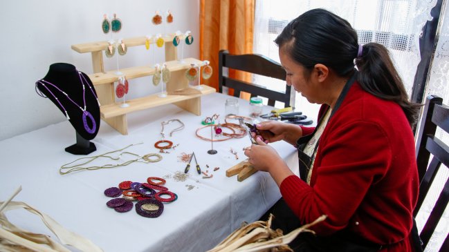 Tarapacá: Sernameg abrió convocatoria para el programa Escuela Mujer Emprende