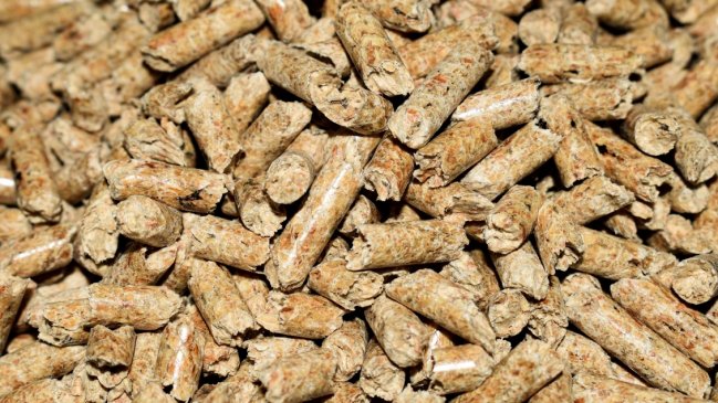 Productora de pellets aseguró disponibilidad ante reportes de desabastecimiento en el sur del país