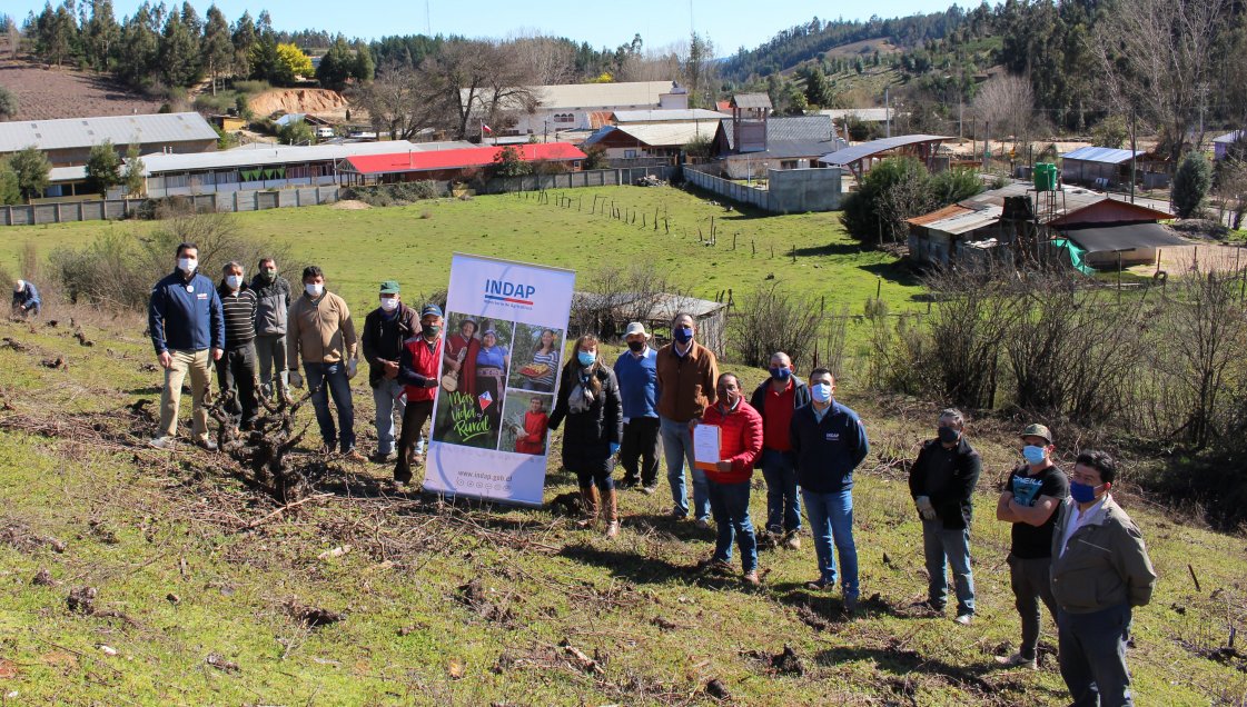 Empresa vinífera del Itata consiguió sello de “Comercio Justo”
