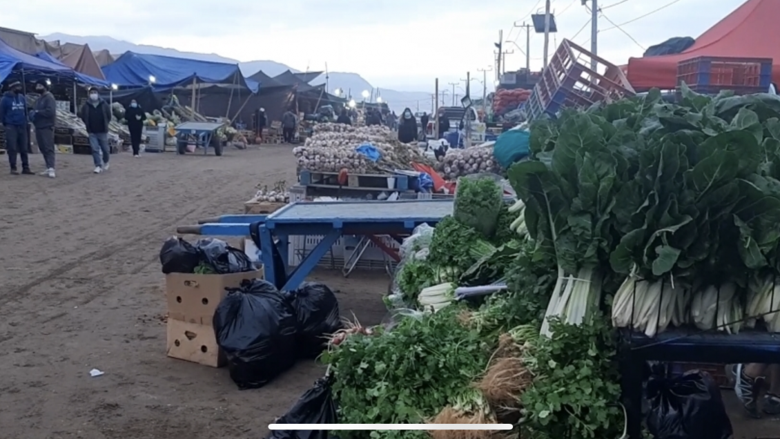 Antofagasta: Comerciantes de la Vega ubicados en Altos La Portada deberán trasladarse de nuevo