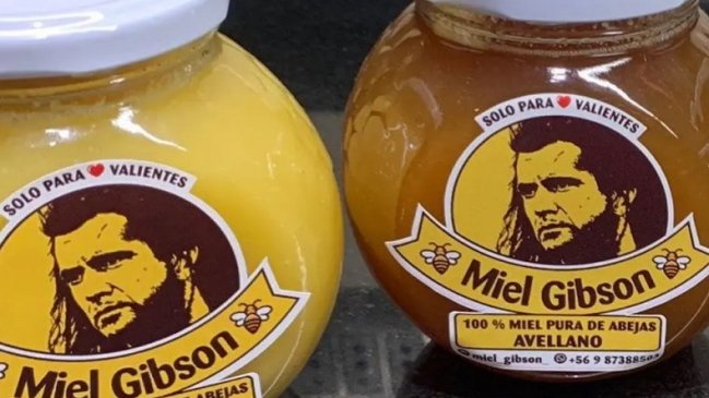 Creadora de Miel Gibson fue a inscribir la marca en Chile, pero otra mujer lo hizo un día antes