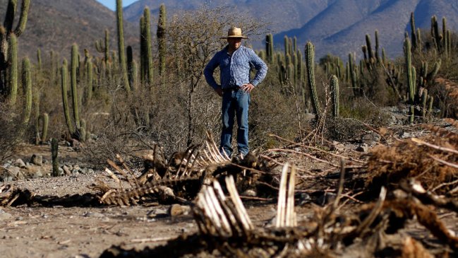 ONU a Chile: Los derechos al agua y la salud deben estar por encima de los intereses económicos