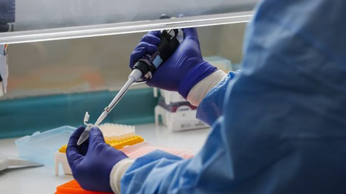 Seremi de Salud de Antofagasta solicitó nombres de empresas para fiscalizar irregularidades