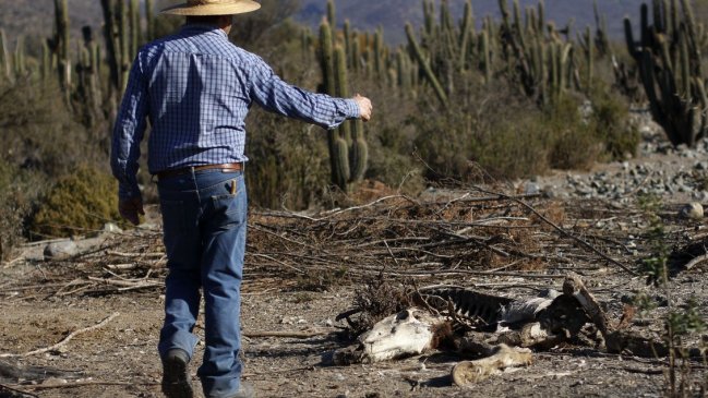 Greenpeace por falta de agua en Petorca: Ninguna industria puede escudarse en el cambio climático