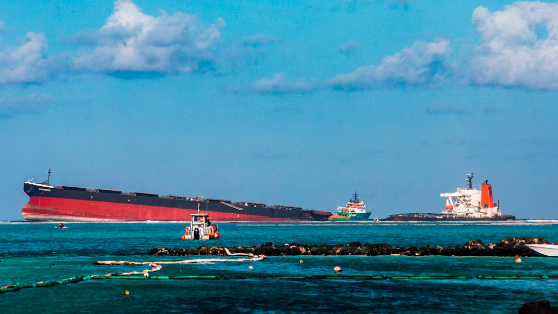Encuentran 13 delfines muertos tras derrame de petróleo en isla Mauricio