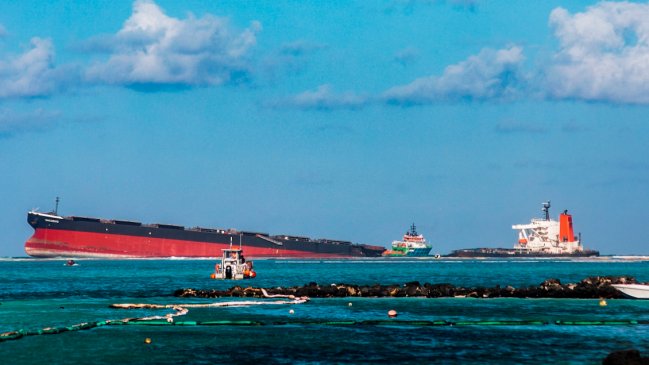 Encuentran 13 delfines muertos tras derrame de petróleo en isla Mauricio