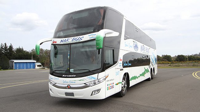 La Araucanía: Empresa de buses entregará más de 10 mil mascarillas gratuitas