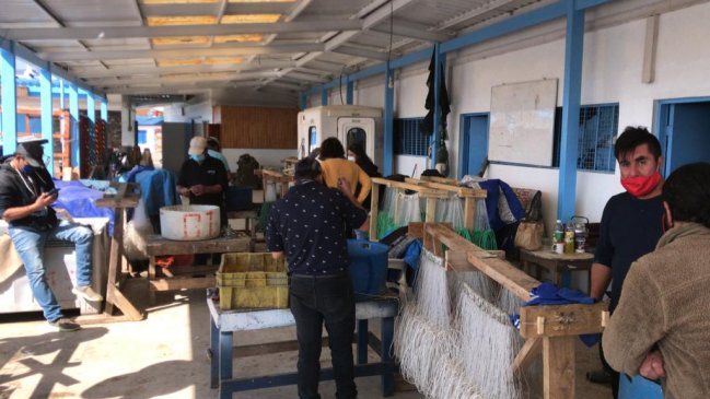 En septiembre comienza veda de la merluza entre costas de Coquimbo y Biobío