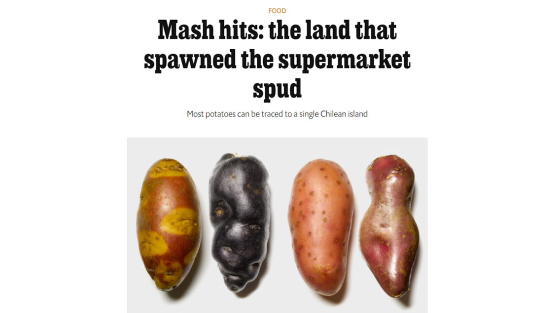 The Economist destacó la influencia global de la papa chilota, madre de las variedades modernas
