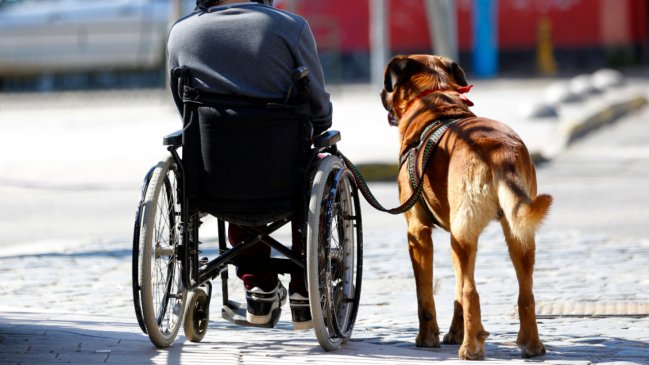  Critican indicación que busca reducir cupos para personas con discapacidad  