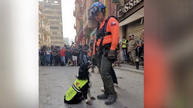   Rescatistas chilenos detectaron indicios de vida a un mes de explosión en Beirut 