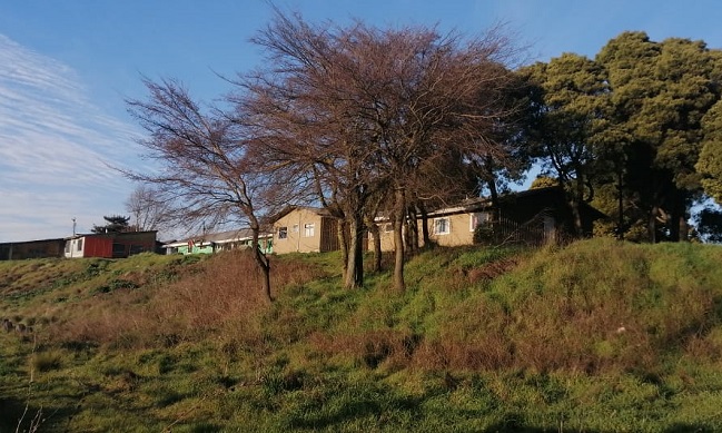 Gobierno espera que se 