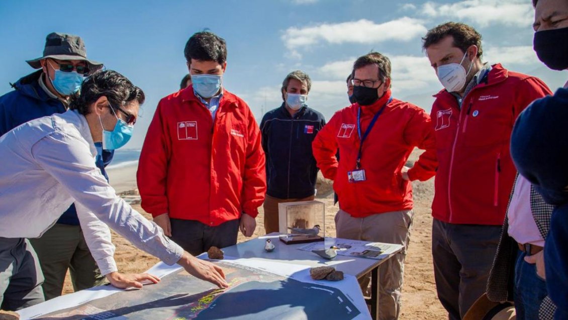 Gobierno destinó 17 hectáreas de terreno fiscal en balneario Hornitos para protección del gaviotín chico