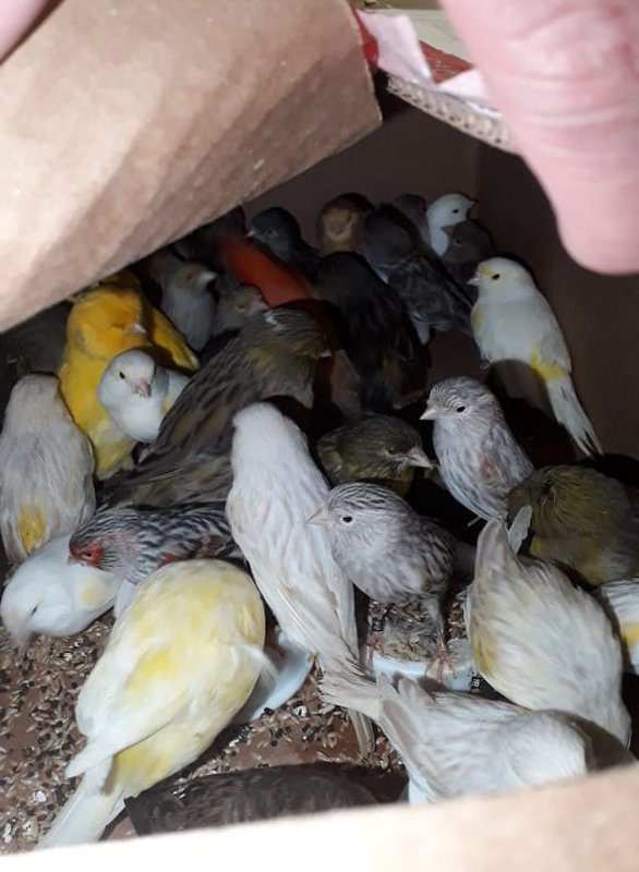 Imagen foto_00000001