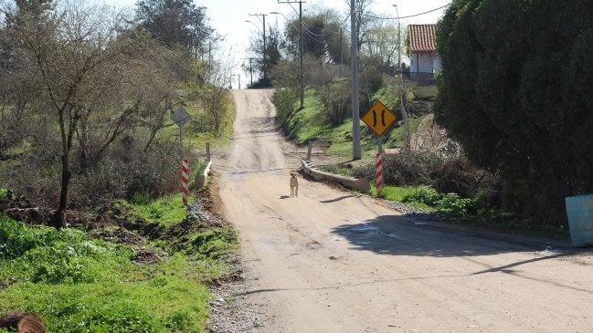 Realizan obras de pavimentación en rutas de Peralillo
