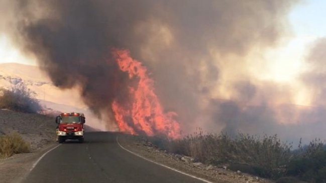 Tarapacá: Quema de pastizales en Huara moviliza a Bomberos