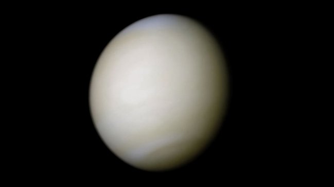 Hallan posibles signos de vida en Venus