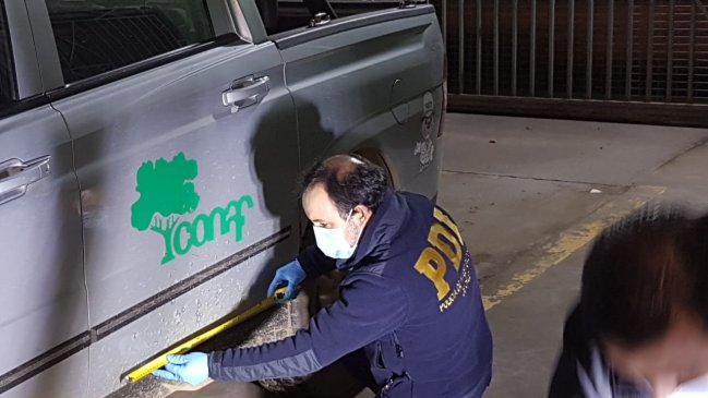 Conaf se querella por baleo a fiscalizador de tala ilegal de bosque