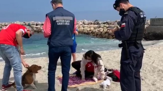 Seremi de Salud de Antofagasta cursó 56 sumarios durante el fin de semana largo