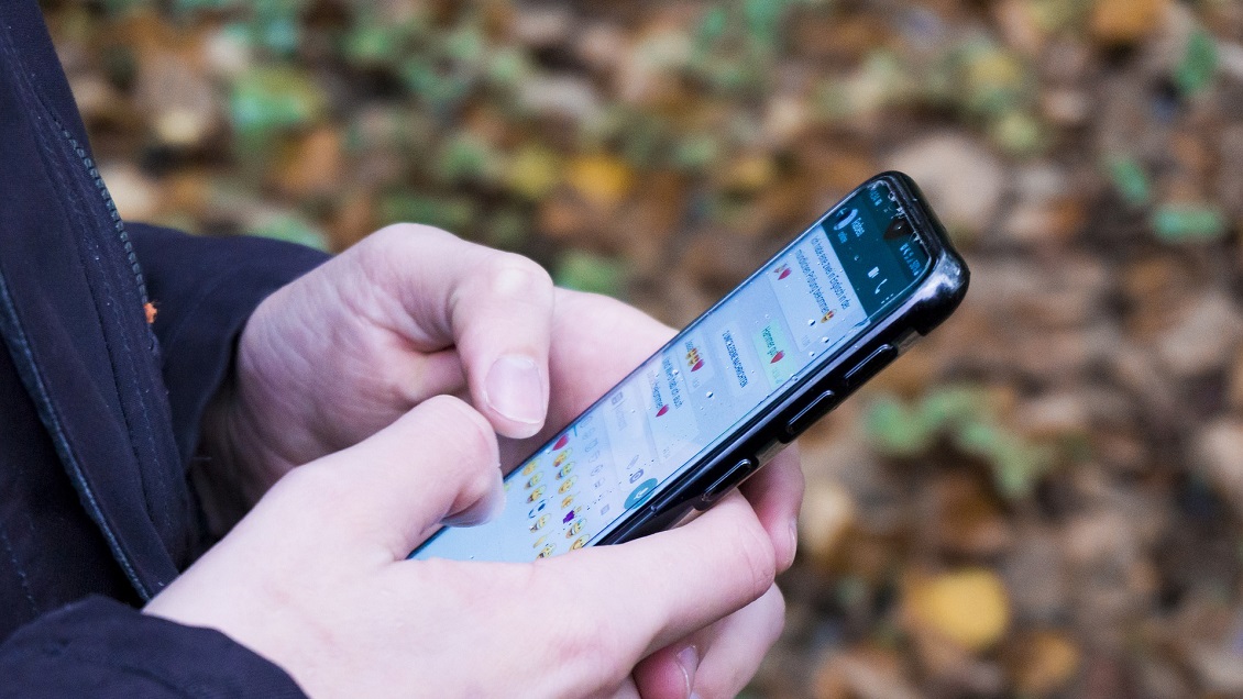 WhatsApp trabaja en la eliminación automática de fotos, videos y GIFs
