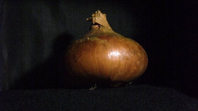 O'Higgins: Programa permitió a agricultor exportar más de 300 toneladas de cebollas a Brasil