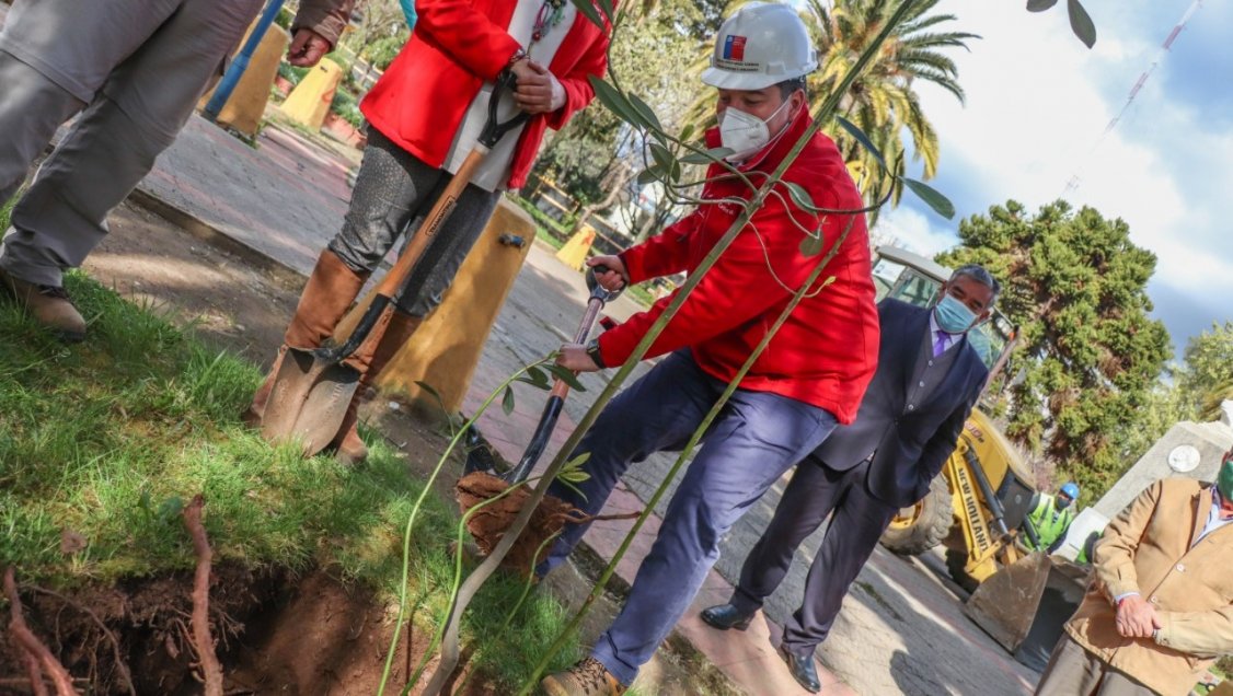 Plaza de Quirihue en remodelación: Se proyecta segura e inclusiva