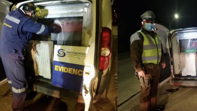 Incautan casi una tonelada y media de merluza extraída ilegalmente en O’Higgins