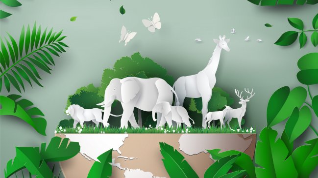 Día Mundial de los Animales: El 27% de las especies está en peligro de desaparecer