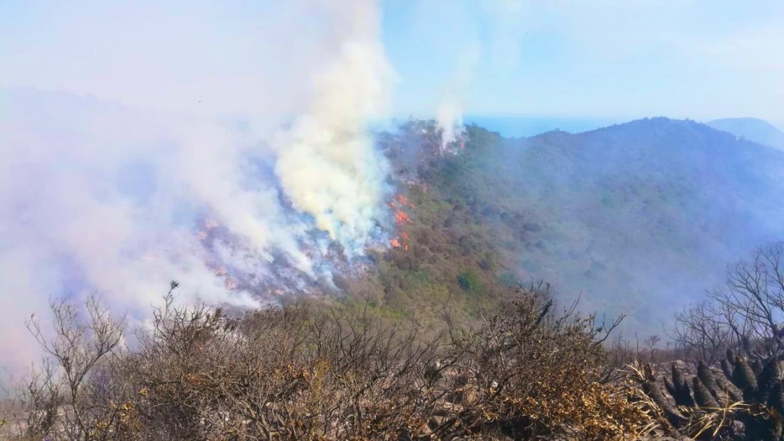 Alerta roja para Zapallar y Papudo por incendio forestal en cordón de cerros