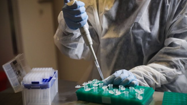 Jefa de Planificación Sanitaria del Minsal ratificó que se rebajaba cifra de contagios por Covid