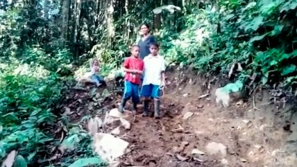   Una odisea: Niños caminan por cuatro horas para cargar celular y poder asistir a clases online 