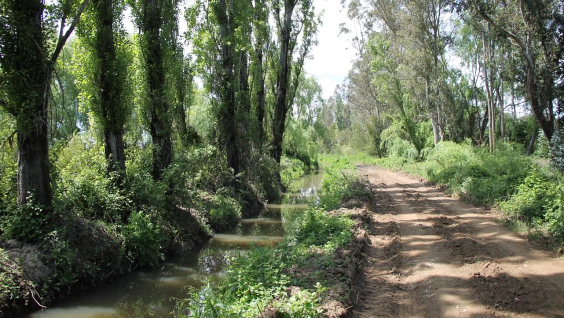 Entregan 240 millones para revestimiento de canal clave para la economía local de Bulnes