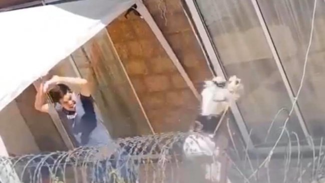 Condenan a 41 días de cárcel a hombre acusado de maltrato animal en Puente Alto