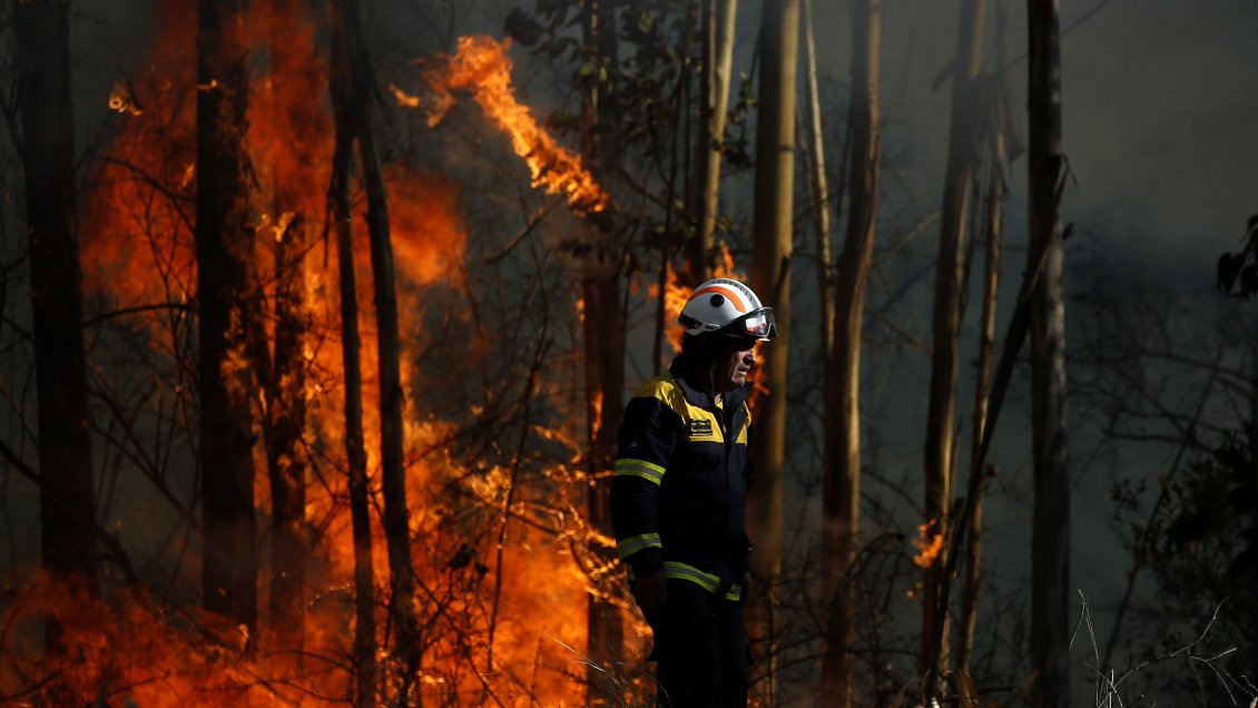 La Araucanía: Onemi declaró Alerta Temprana Preventiva por probables incendios forestales