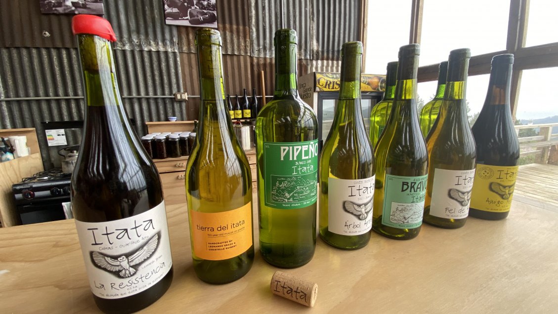 En el top 20: The New York Times destacó vino de Cobquecura