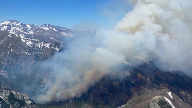 Declaran Alerta Roja por incendio forestal al interior de la Reserva Nacional Ñuble