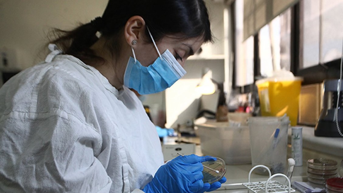 Ñuble superó los 100 mil exámenes PCR procesados durante la pandemia