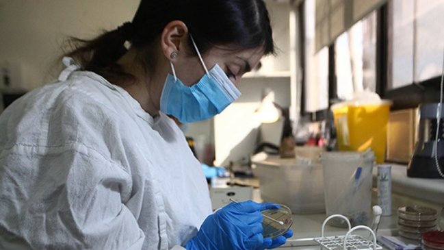 Ñuble superó los 100 mil exámenes PCR procesados durante la pandemia