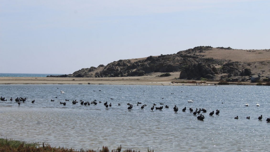 Concurso literario busca rescatar relatos sobre humedales costeros de La Araucanía