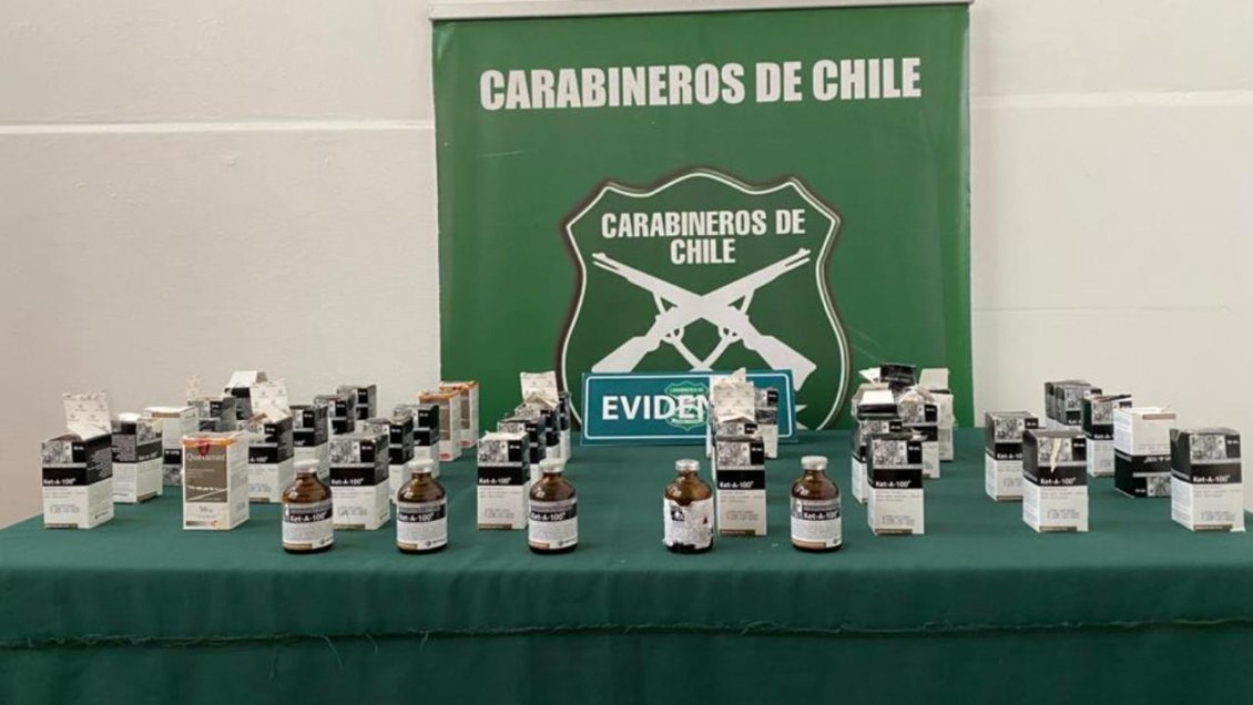 Sujetos fueron sorprendidos con seis millones de pesos en ketamina a bordo de un bus