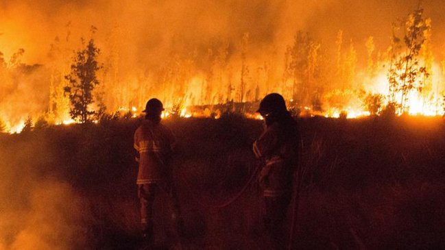 Incendios forestales han aumentado 54% esta temporada en la Provincia de Concepción
