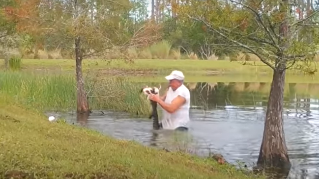 EE.UU: Hombre rescató a su perro de las fauces de un cocodrilo en Florida
