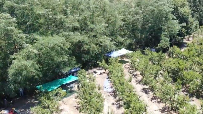 Sitio arqueológico confirmaría presencia humana de hace 13 mil años en O’Higgins